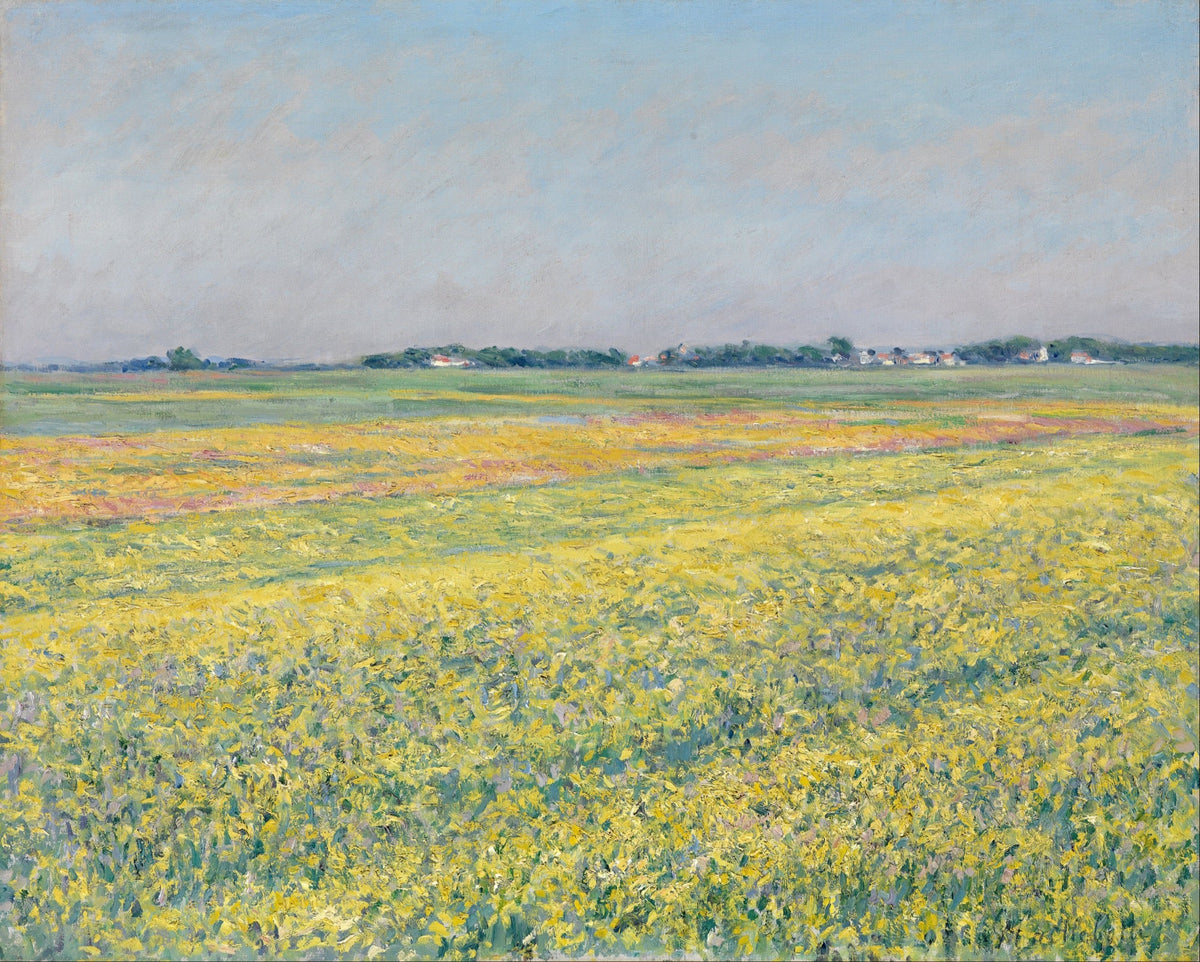 Hoodie The Plain Of Gennevilliers Yellow Fields Essential