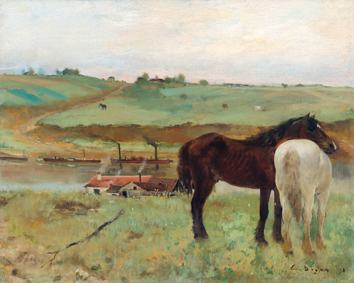 Hoodie Horse In A Meadow Essential