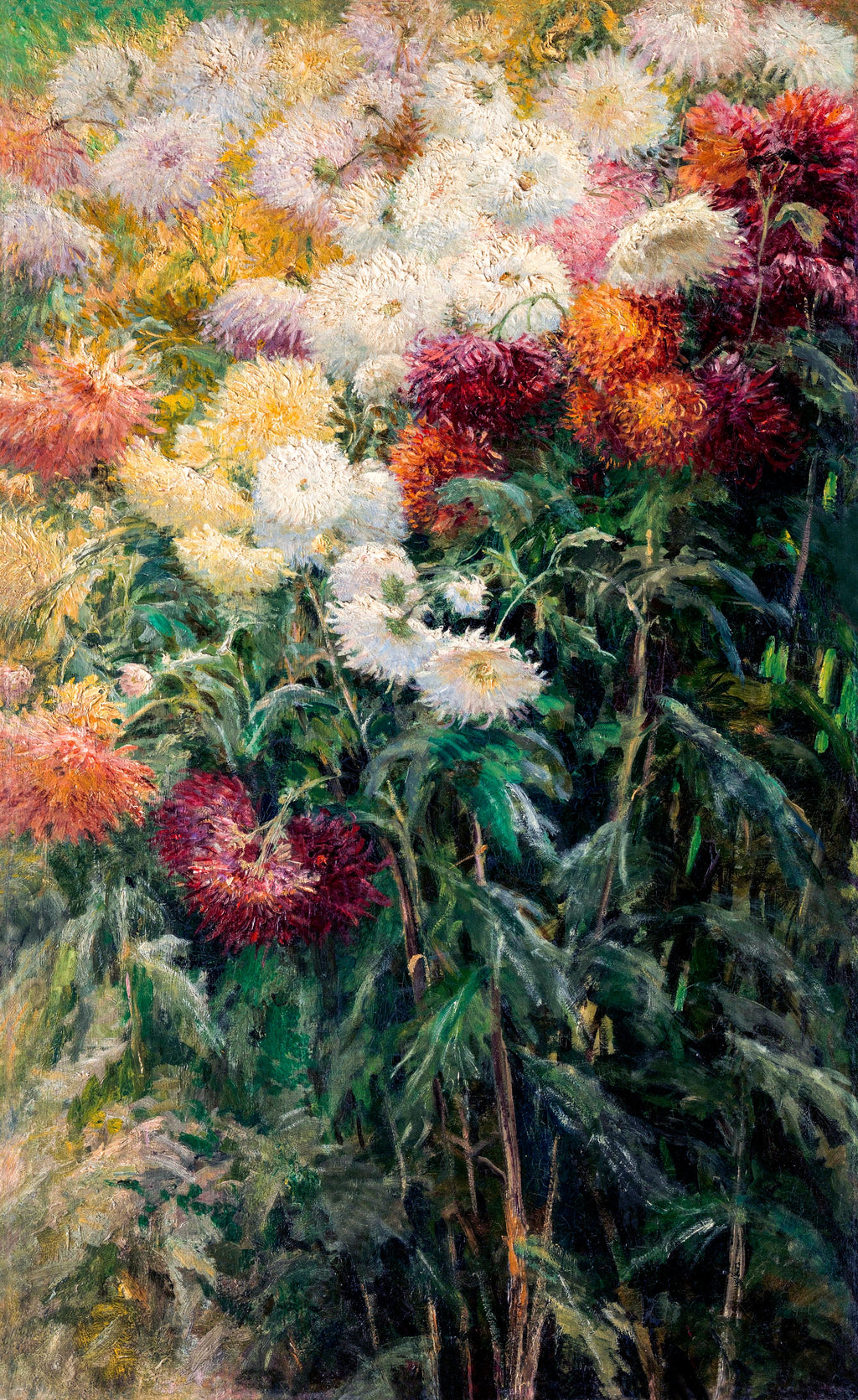 T-shirt Chrysanthemums In The Garden At Petit Gennevilliers Painting In High Resolution Essential
