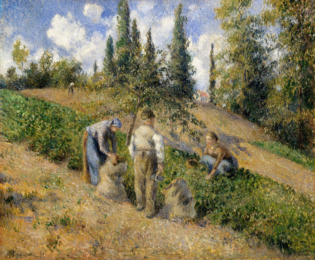 Sweater The Harvest Pontoise Signature