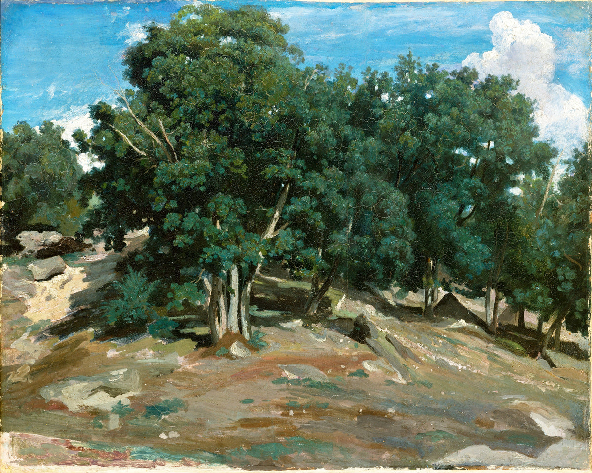 T-shirt Fontainebleau Oak Trees At Bas-Breau 1832 Or 1833 Essential