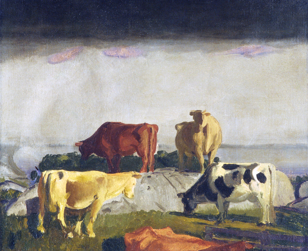 T-shirt Five Cows Print Essential