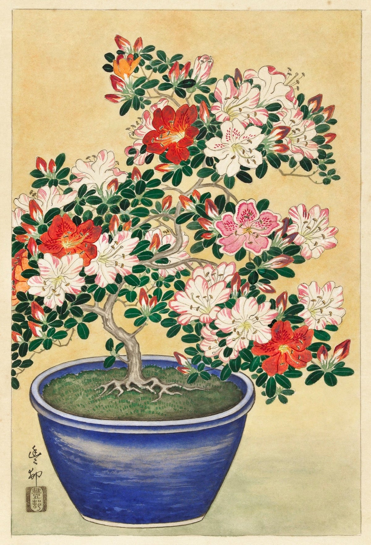 Sweater Blooming Azalea In Blue Pot - Ohara Koson 1920 Essential
