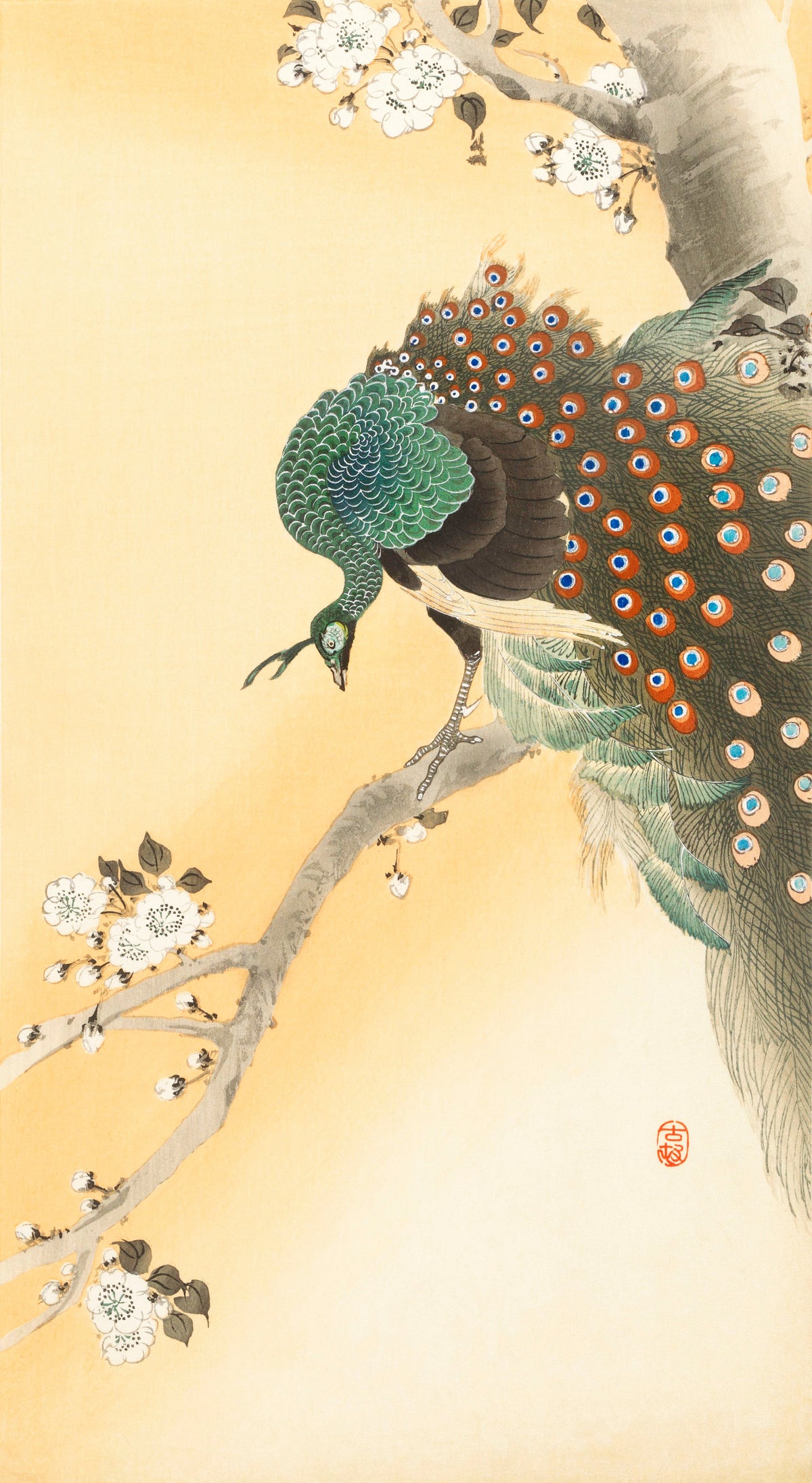 Hoodie Peacock On A Cherry Blossom Tree - Ohara Koson 1900 Signature