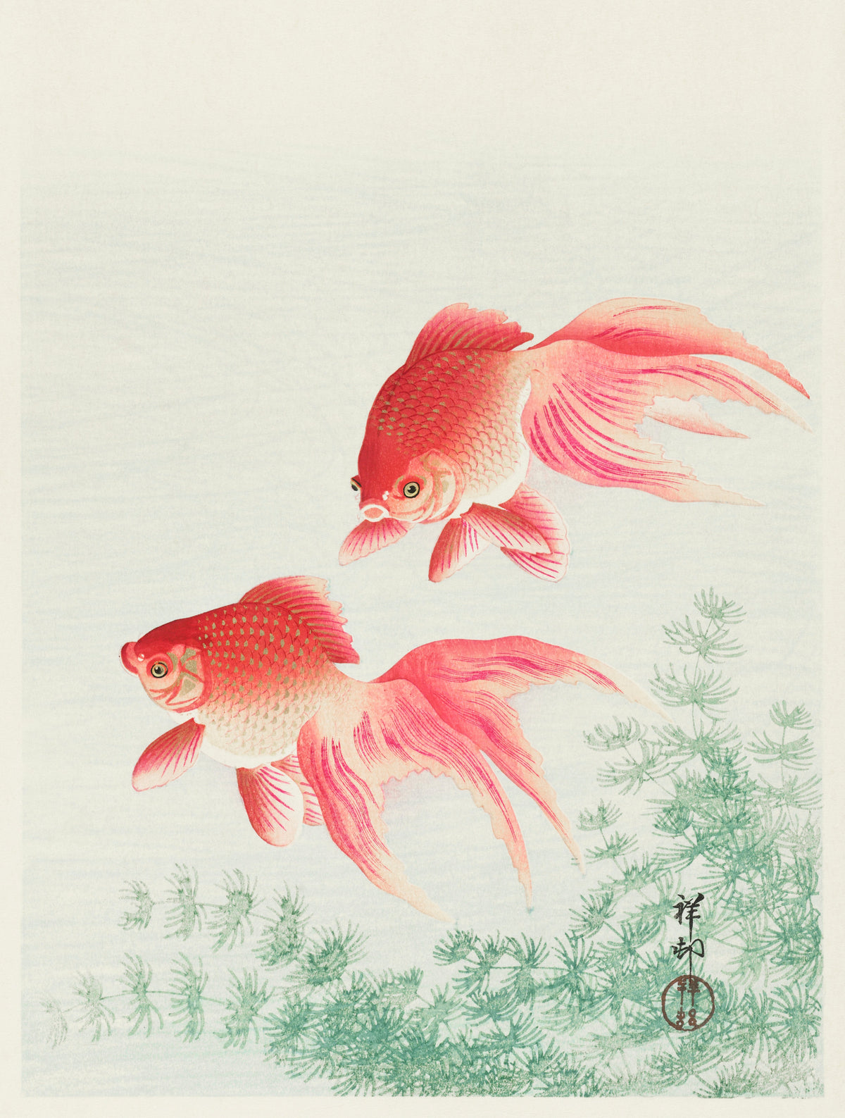 T-shirt Two Veil Goldfish - Ohara Koson 1926 Signature