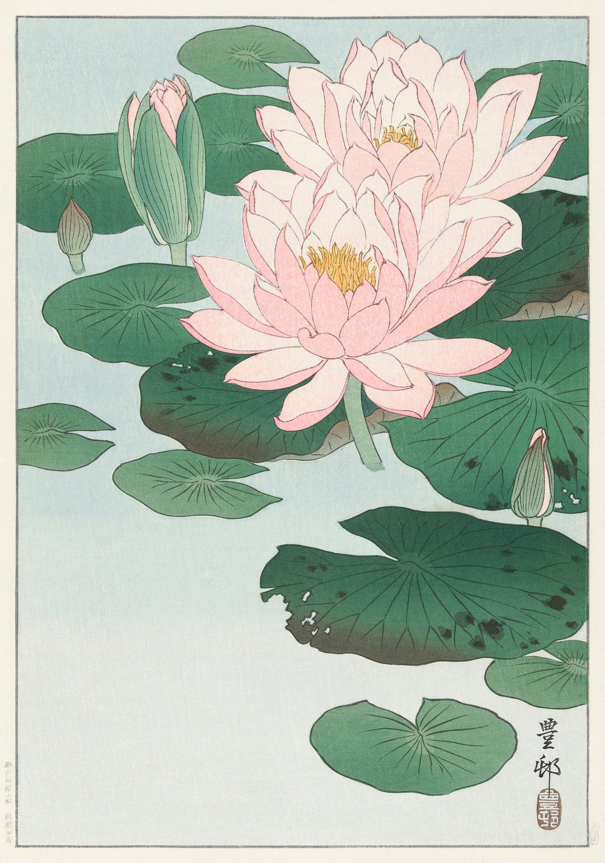 T-shirt Water Lily - Ohara Koson 1920 Essential