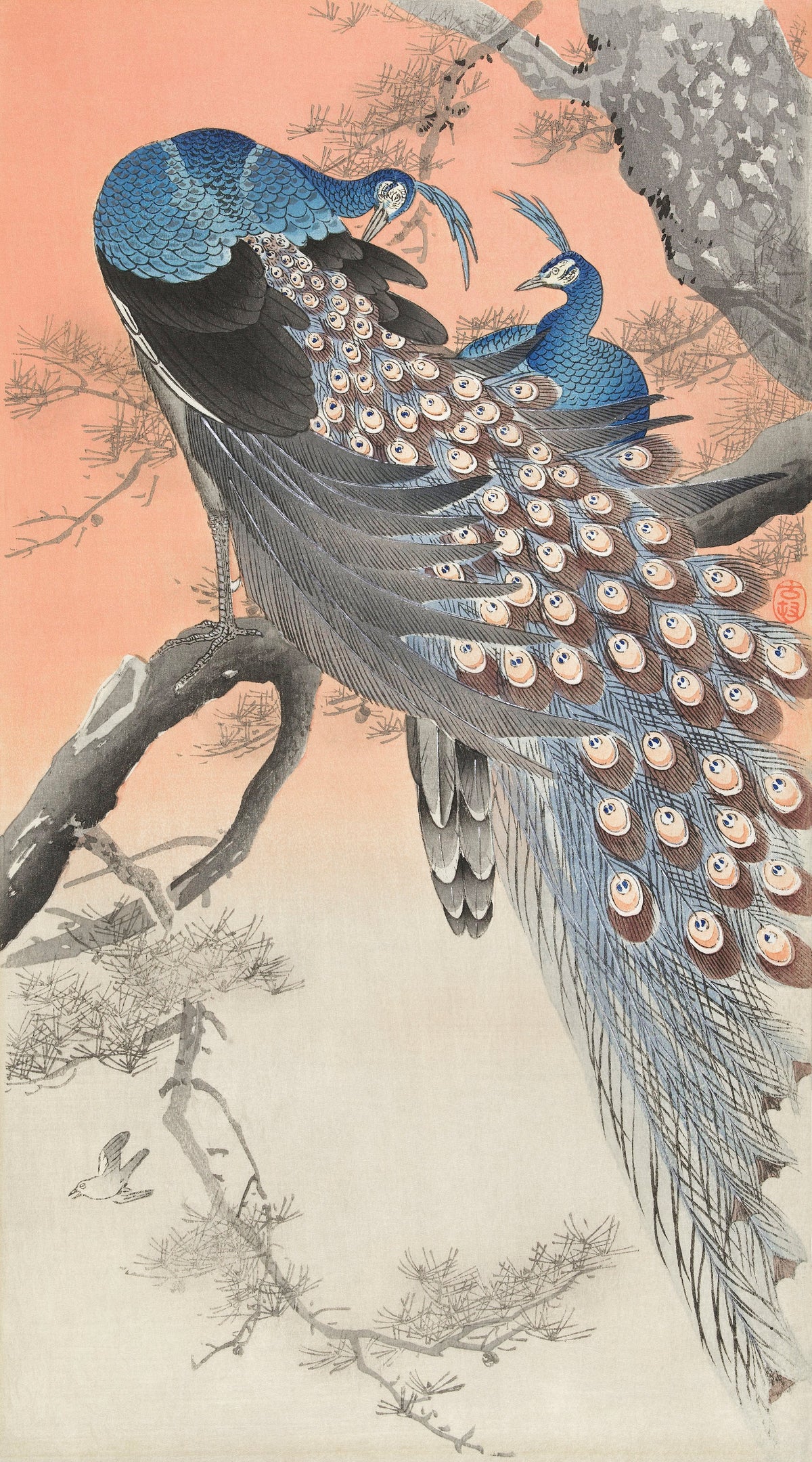 T-shirt Two Peacocks On Tree Branch - Ohara Koson 1900 Essential