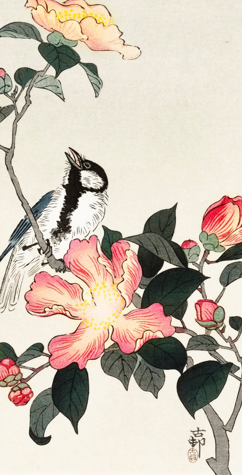 Hoodie Great Tit On Branch With Pink Flowers - Ohara Koson 1900 Signature