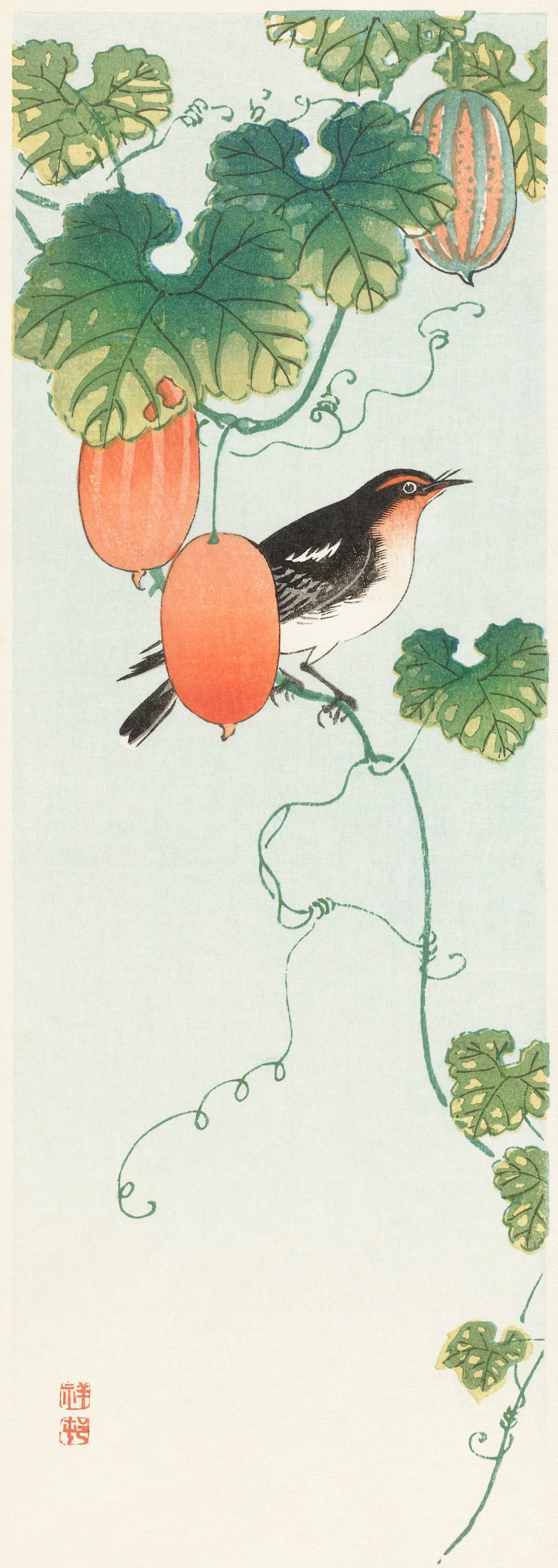 Hoodie Songbird In Cucumber Plant - Ohara Koson 1925 Essential