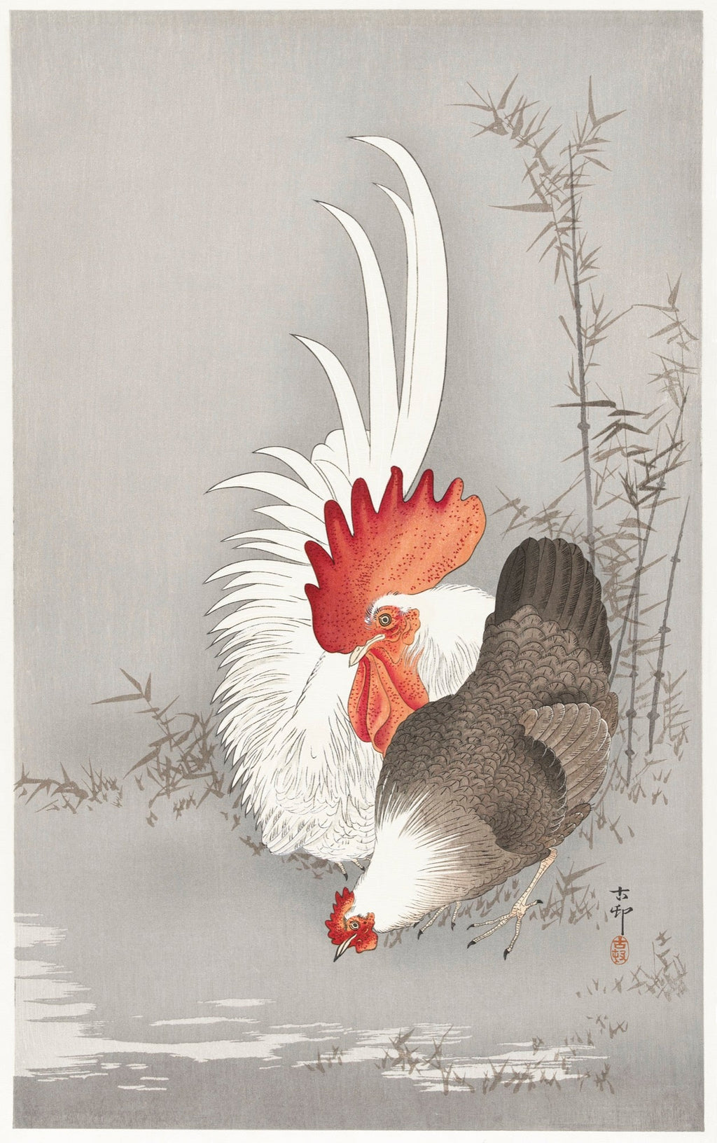 Sweater Rooster And Chicken - Ohara Koson 1900 Essential