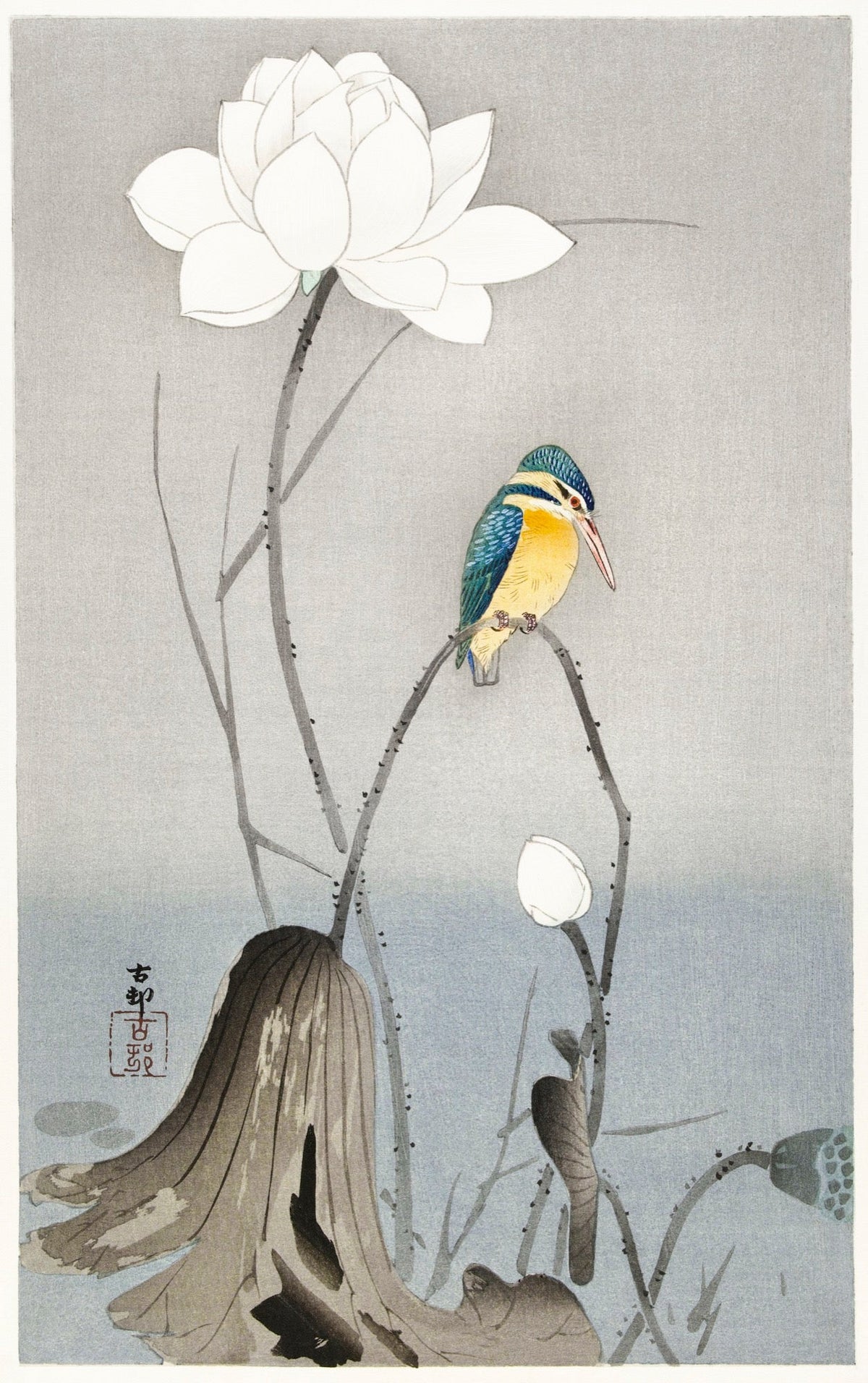 T-shirt Kingfisher With Lotus Flower - Ohara Koson 1900 Essential