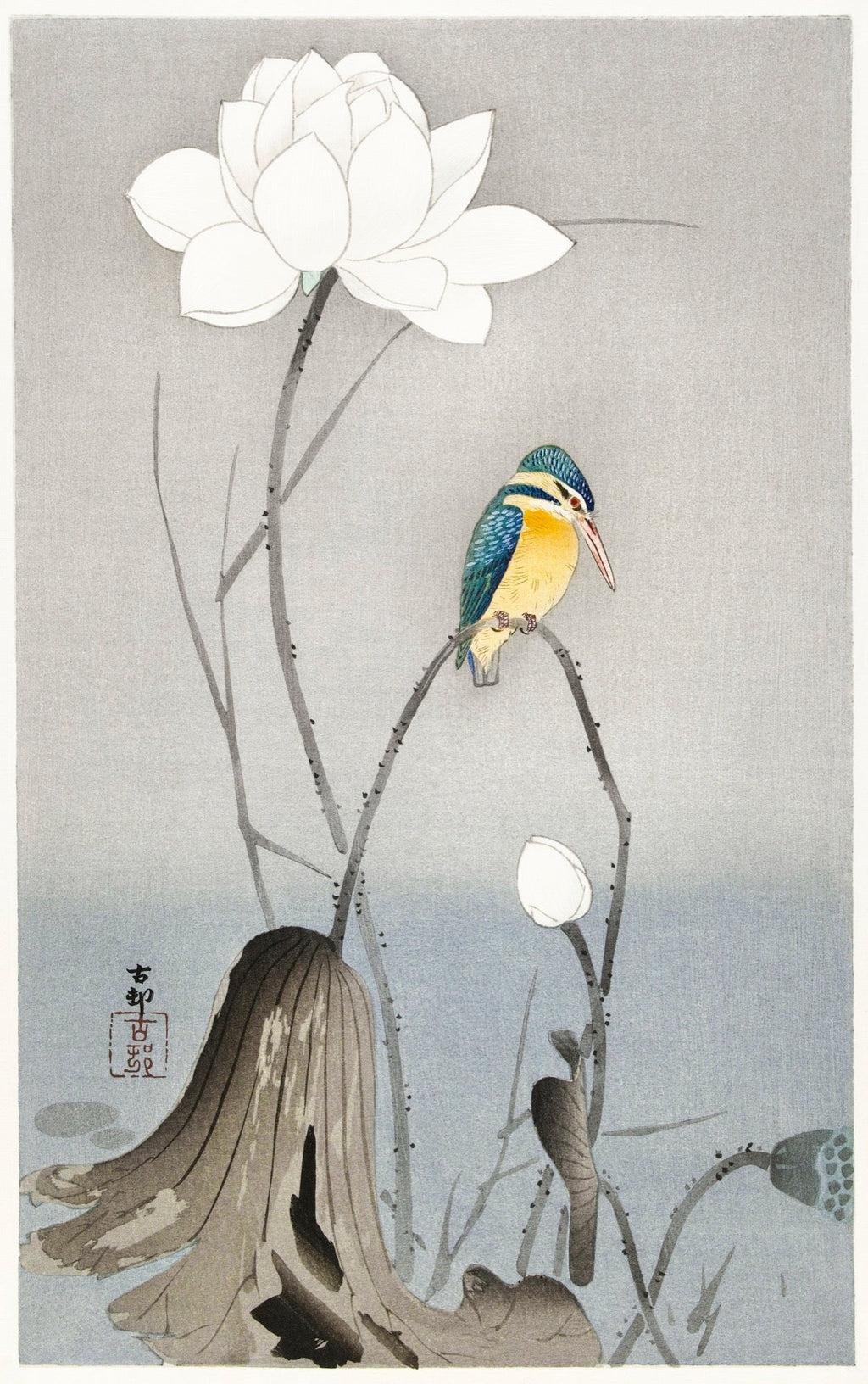 Sweater Kingfisher With Lotus Flower - Ohara Koson 1900 Essential
