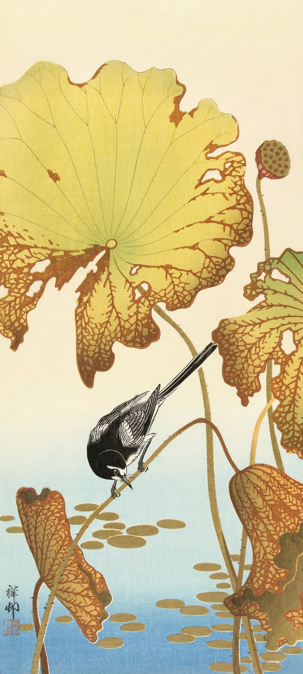Sweater Japanese Wagtail On Lotus Plant - Ohara Koson 1925 Signature