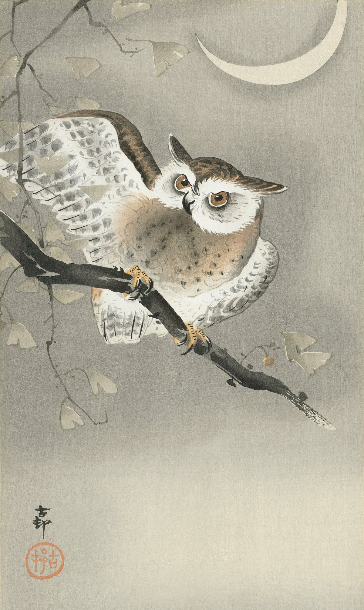 Sweater Long-Eared Owl In Ginkgo - Ohara Koson 1900 Essential
