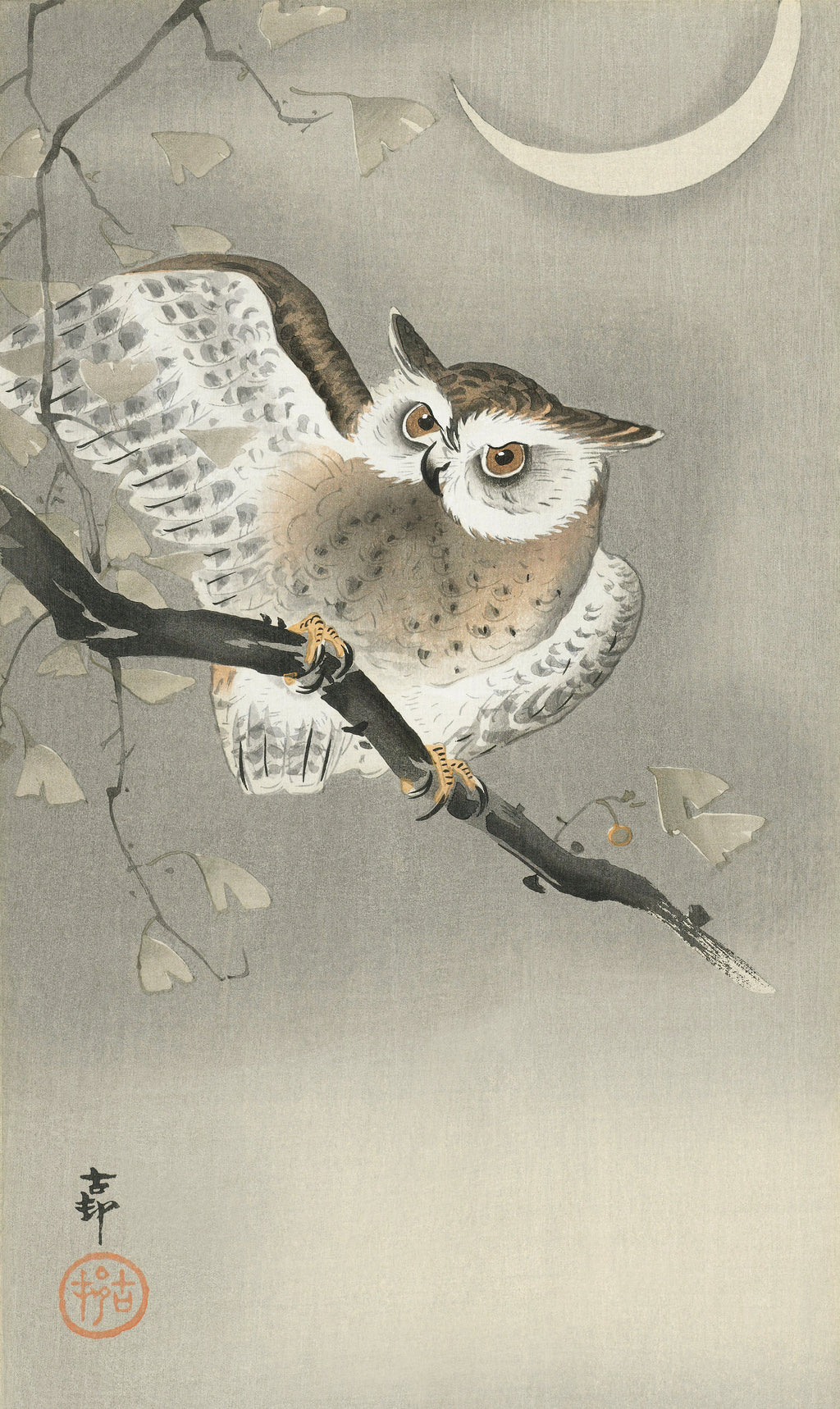 Sweater Long-Eared Owl In Ginkgo - Ohara Koson 1900 Signature