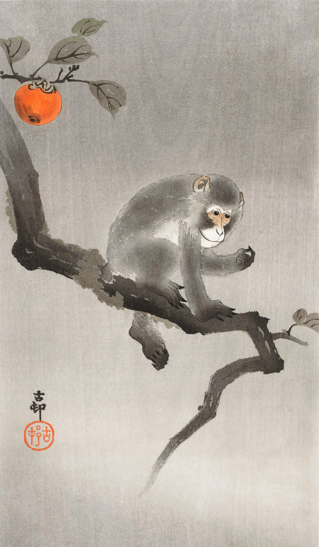 Sweater Monkey In Cockatoo - Ohara Koson 1900 Signature