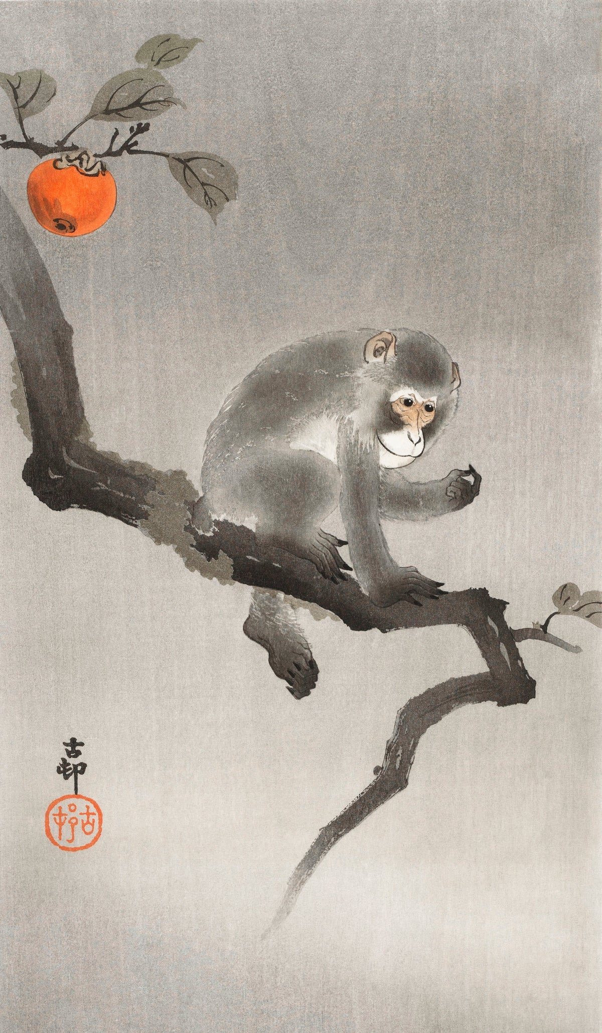 Sweater Monkey In Cockatoo - Ohara Koson 1900 Signature