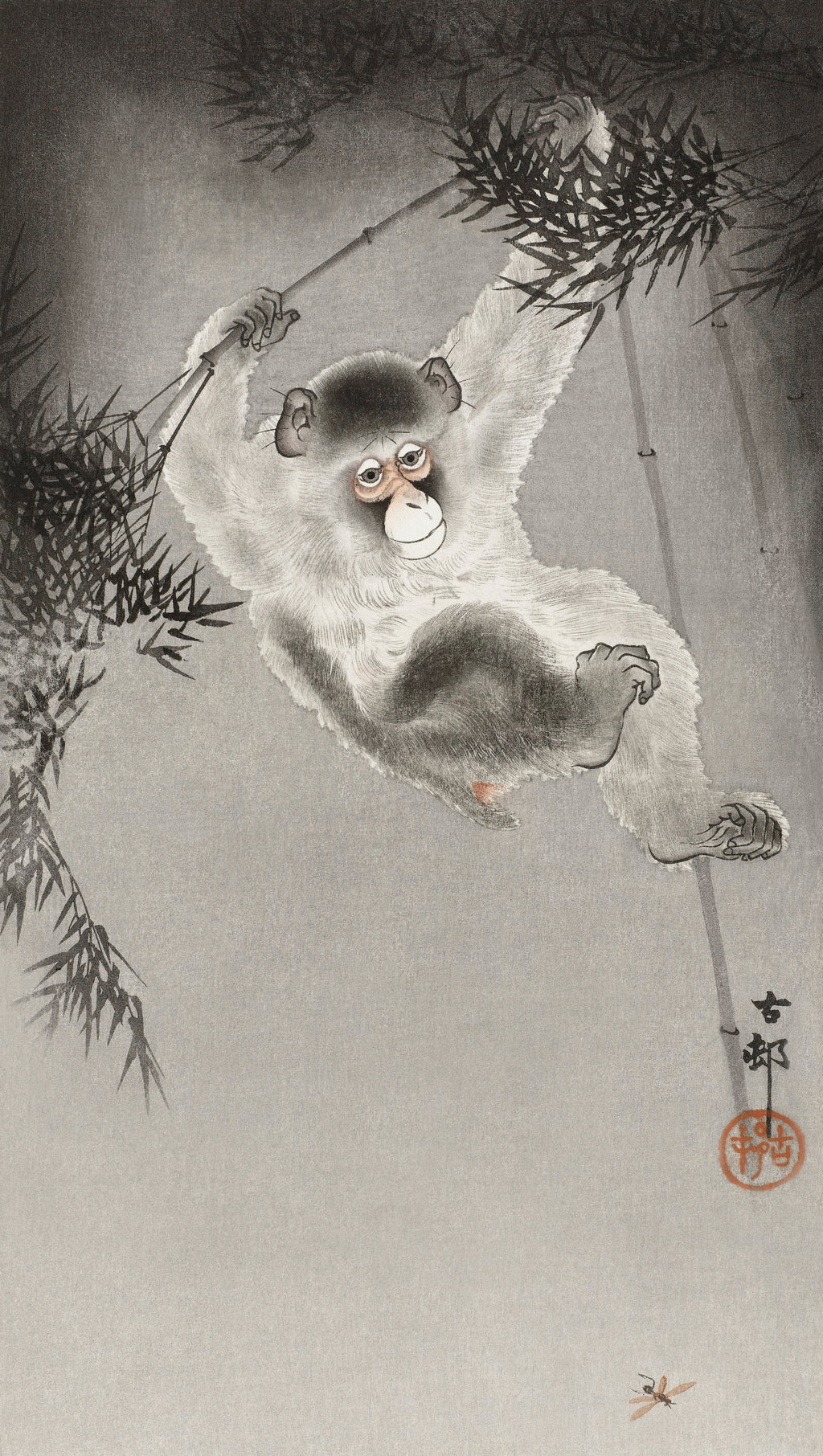 T-shirt Monkey Hanging - Ohara Koson 1900 Essential