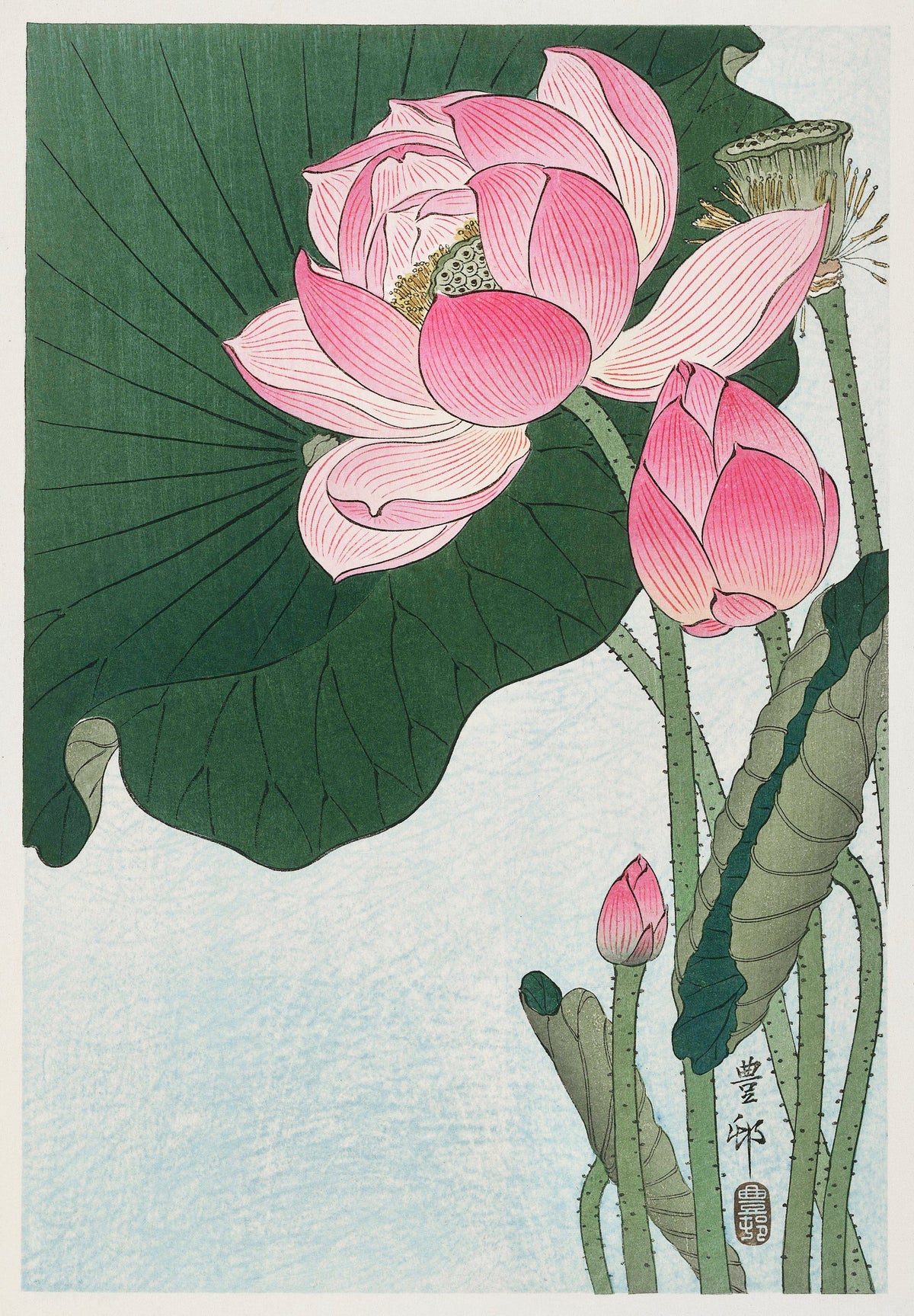 T-shirt Blooming Lotus Flowers - Ohara Koson 1920 Essential