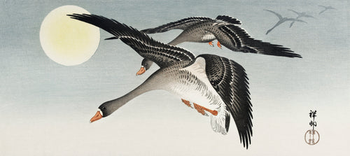 Hoodie Birds At Full Moon - Ohara Koson 1900 Premium