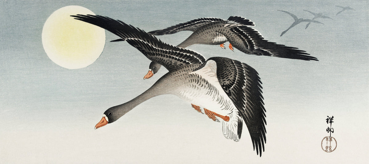 T-shirt Birds At Full Moon - Ohara Koson 1900 Essential