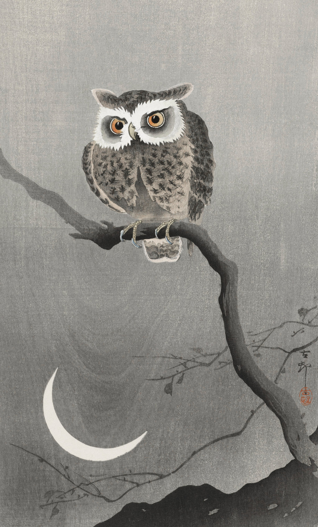 Hoodie Long-Eared Owl On Bare Tree Branch - Ohara Koson 1900 Signature