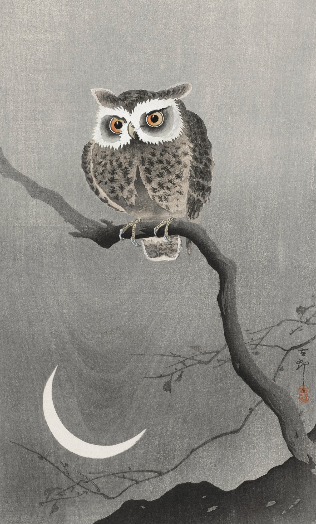 T-shirt Long-Eared Owl On Bare Tree Branch - Ohara Koson 1900 Essential