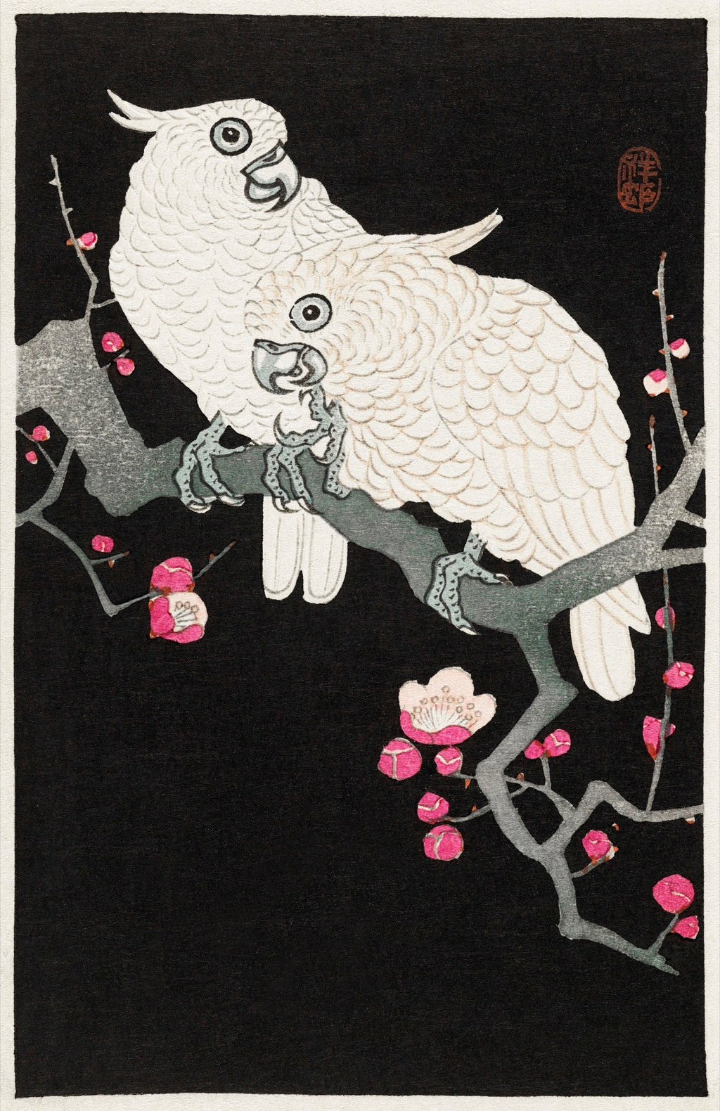 T-shirt Two Cockatoo And Plum Blossom - Ohara Koson 1925 Essential