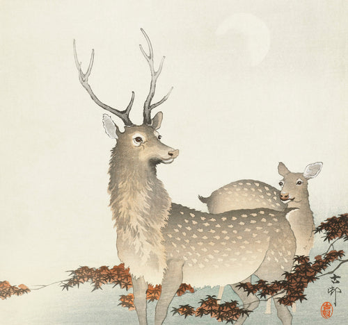 Hoodie Couple Of Deers - Ohara Koson 1900 Essential