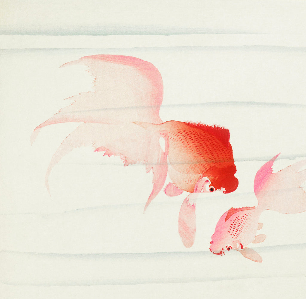 Sweater Gold Fish - Ohara Koson 1900 Signature