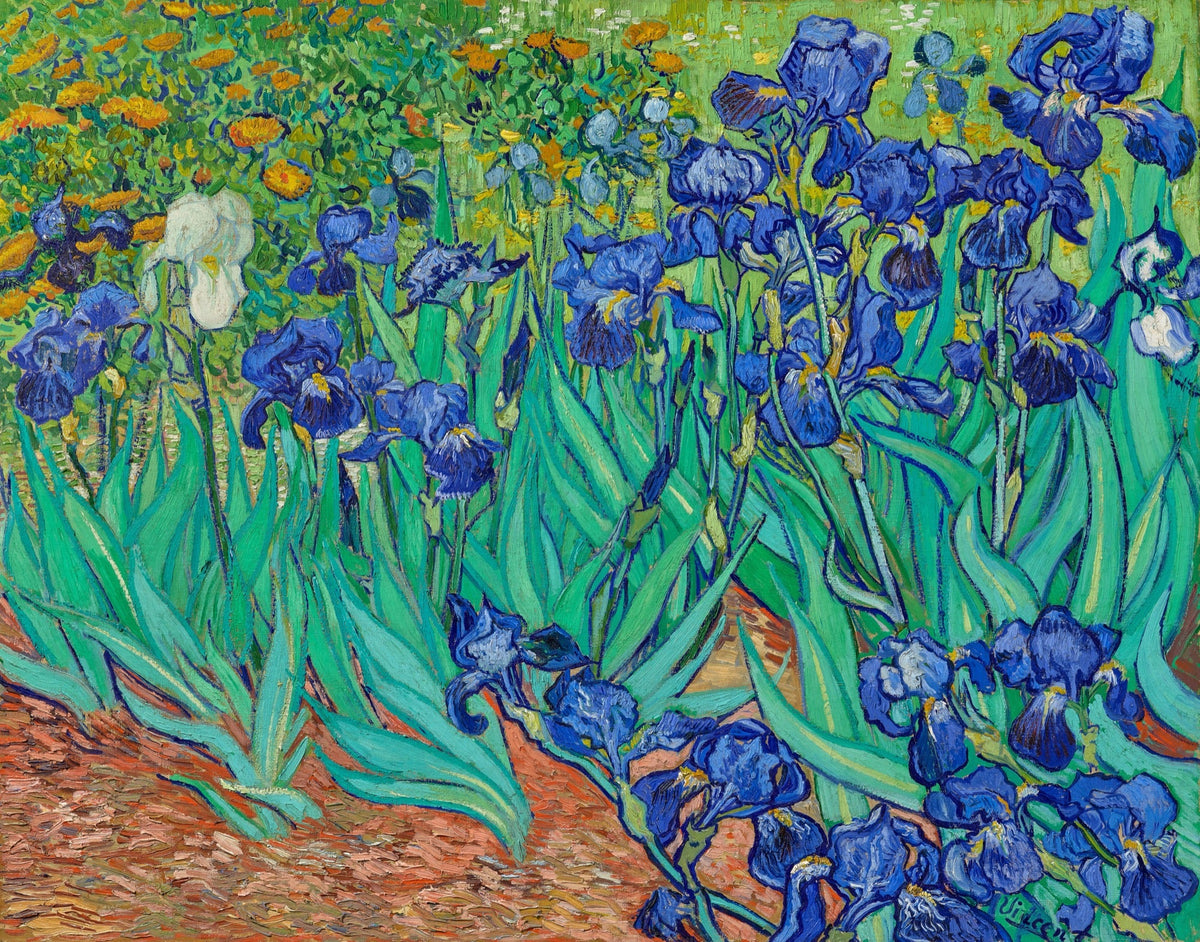 Hoodie Vincent Van Gogh Irises Famous Painting Essential