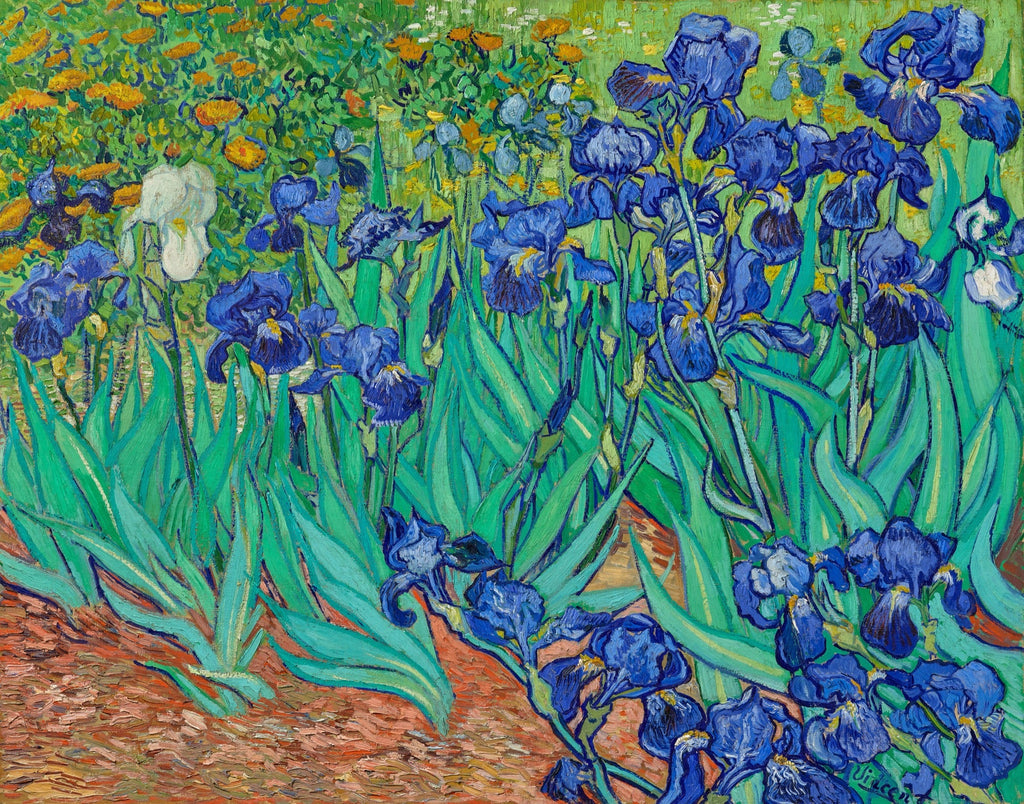 Hoodie Vincent Van Gogh Irises Famous Painting Signature