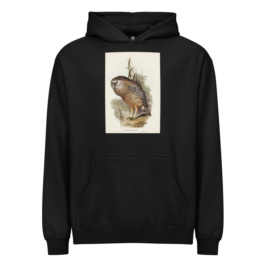 Black Hoodie Wekau Sceloglaux Albifacies Illustrated - Elizabeth Gould 1804 Signature
