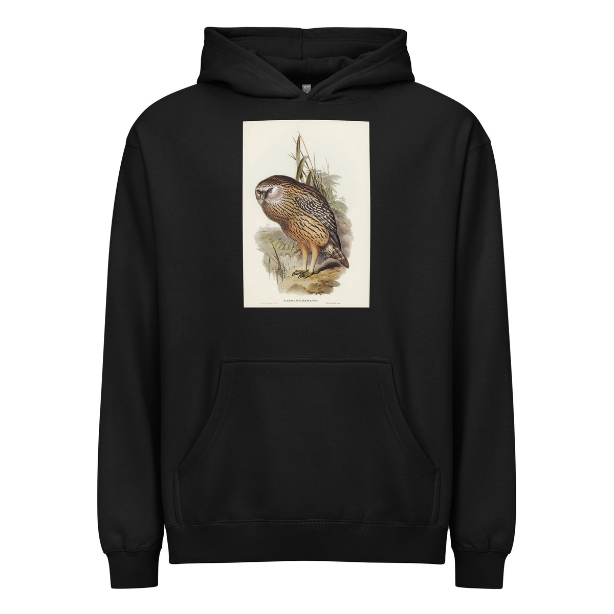 Black Hoodie Wekau Sceloglaux Albifacies Illustrated - Elizabeth Gould 1804 Signature