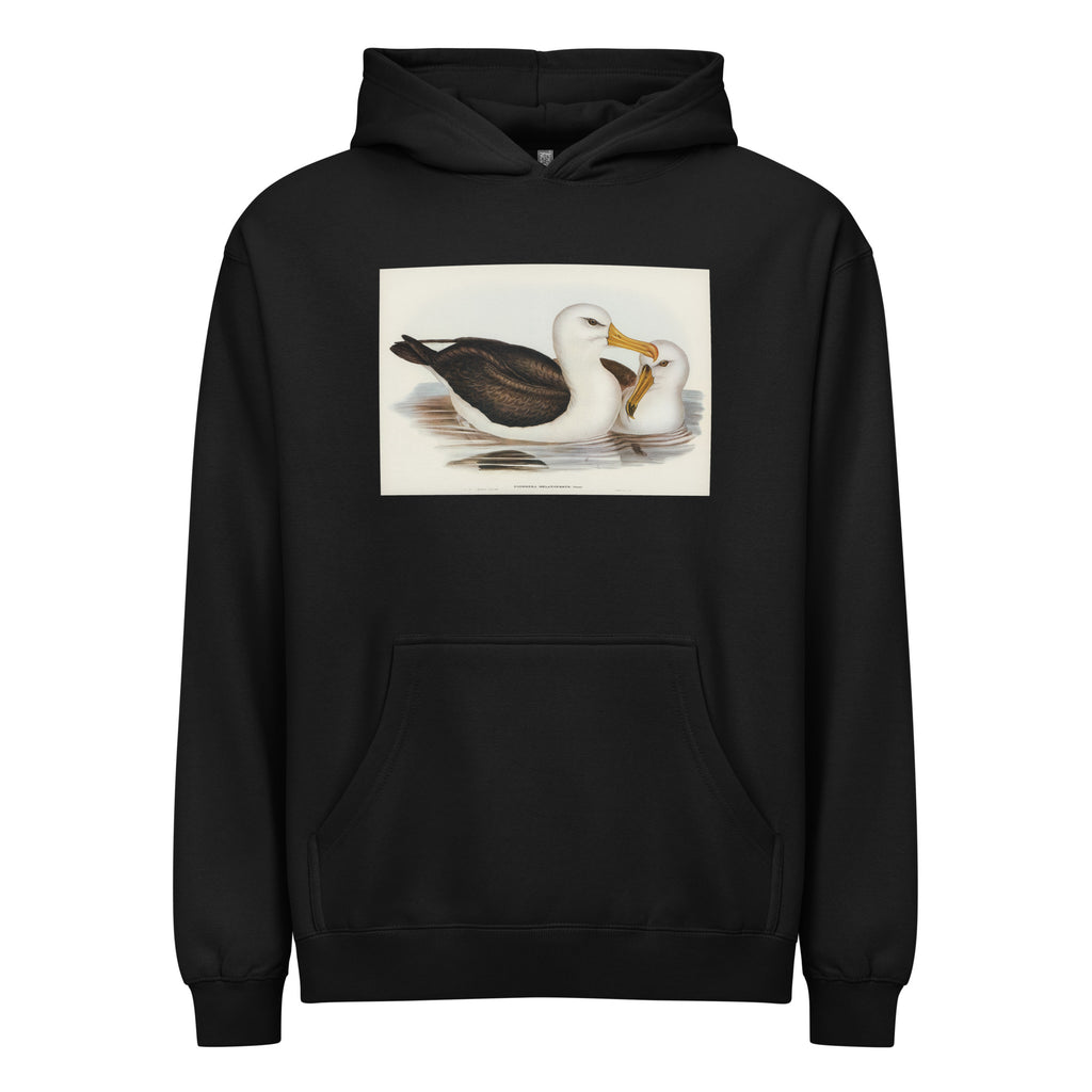 Black Hoodie Black-Eyebrowed Albatros Diomedea Melanophrys Illustrated - Elizabeth Gould 1804 Signature