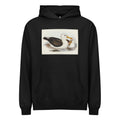 Black Hoodie Black-Eyebrowed Albatros Diomedea Melanophrys Illustrated - Elizabeth Gould 1804 Signature