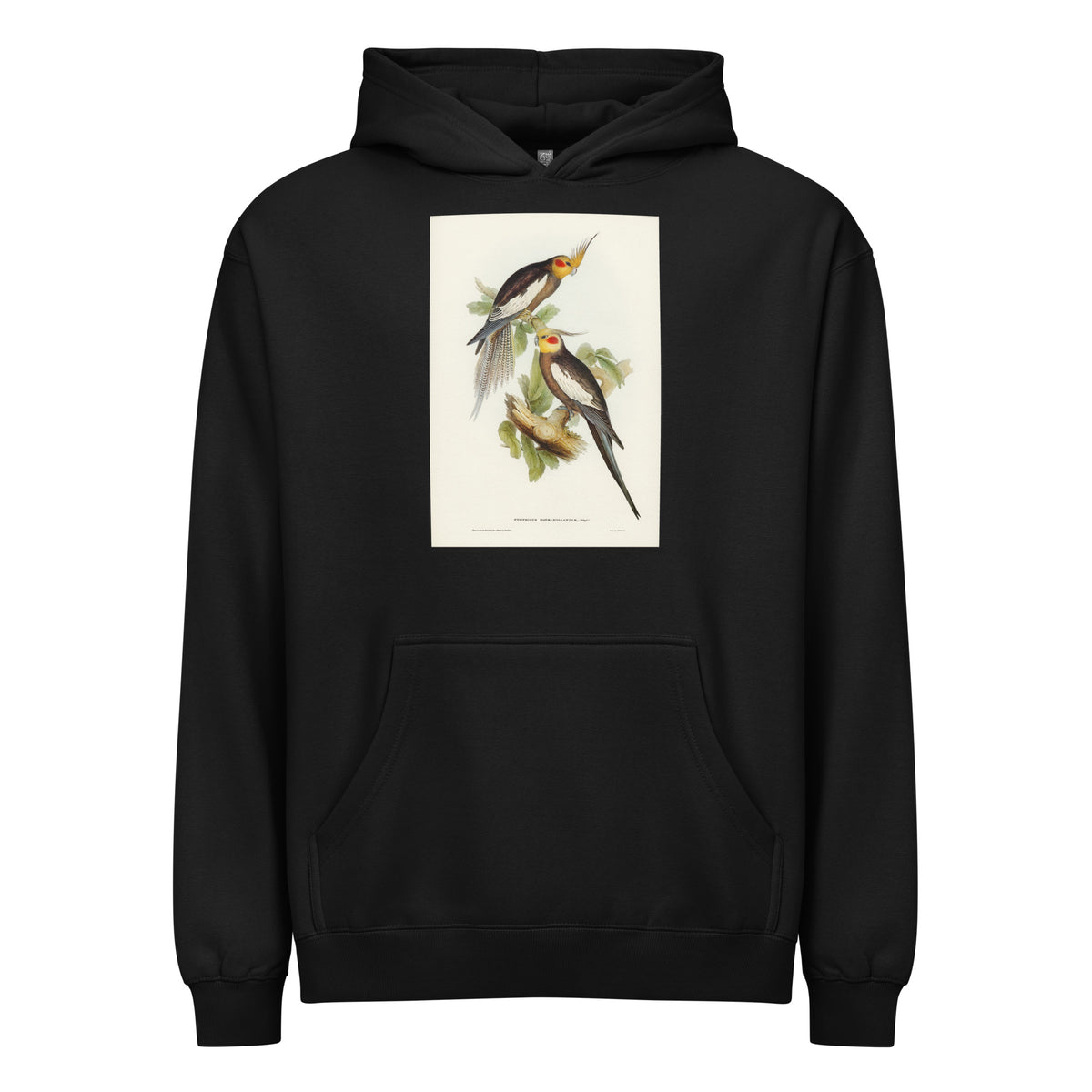 Black Hoodie Cockatoo Parakeet Nymphicus Novae Hollandiae Illustrated - Elizabeth Gould 1804 Signature