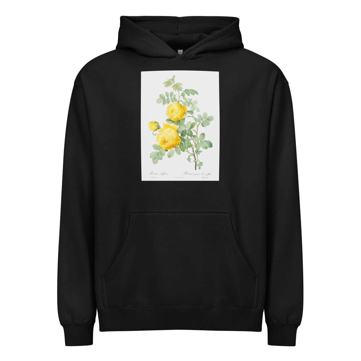Black Hoodie Rosa Hemisphaerica Also Known As Yellow Rose Of Sulfur Rosa Sulfurea Signature
