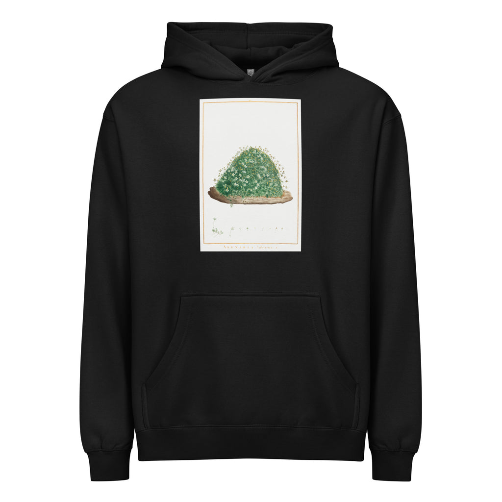 Black Hoodie Arenaria Balearica Image - Pierre-Joseph Redoute And Charles Louis L Heritier 1784 Signature