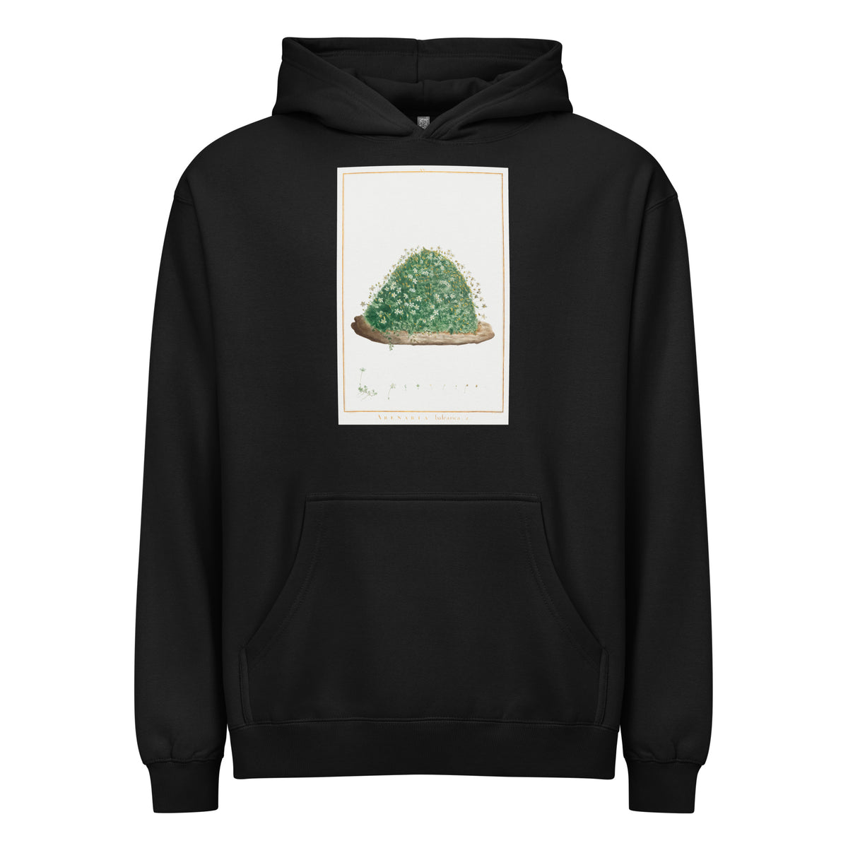 Black Hoodie Arenaria Balearica Image - Pierre-Joseph Redoute And Charles Louis L Heritier 1784 Signature