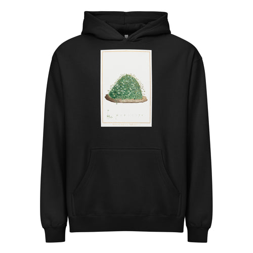 Black Hoodie Arenaria Balearica Image - Pierre-Joseph Redoute And Charles Louis L Heritier 1784 Signature