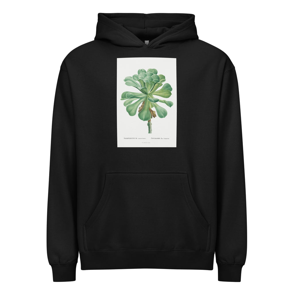 Black Hoodie Sempervivum Canariense Image Signature