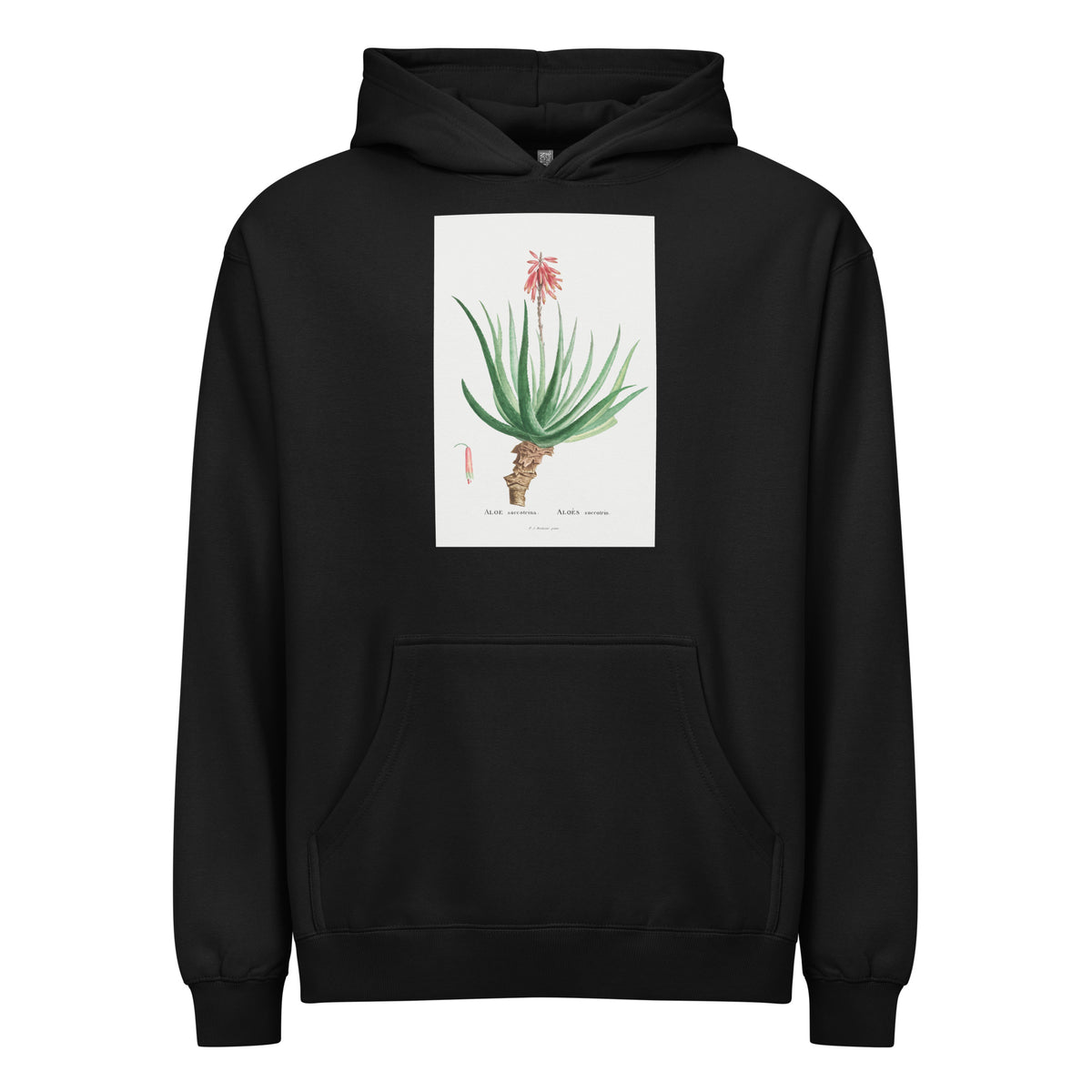 Black Hoodie Aloe Socotrina Image Signature