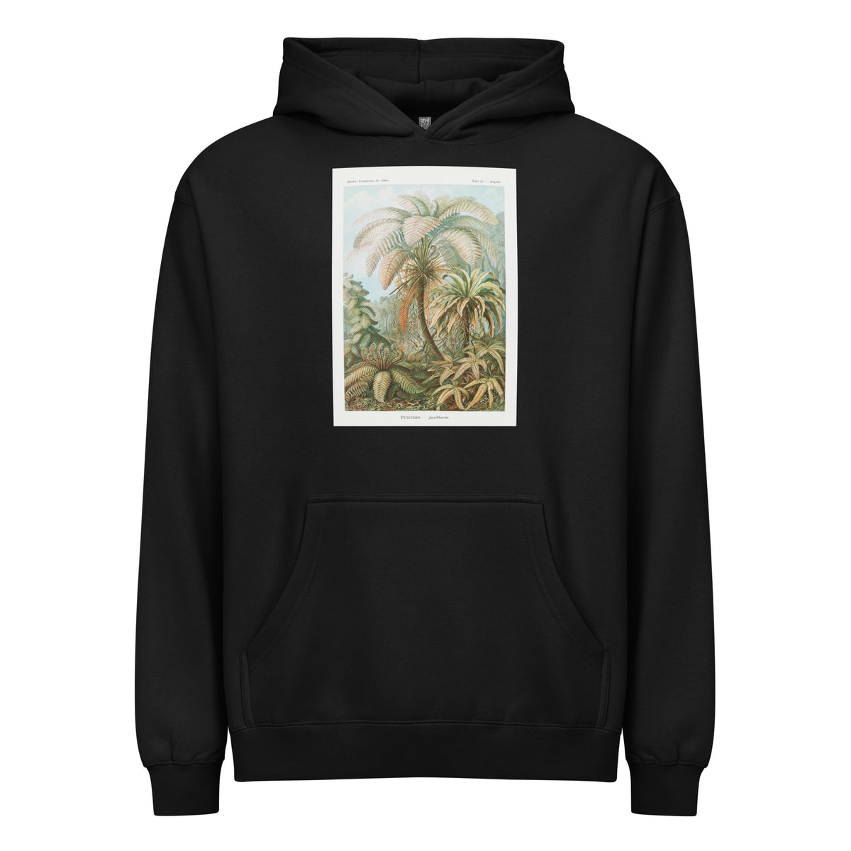 Black Hoodie Filicinae Laubfarne Signature