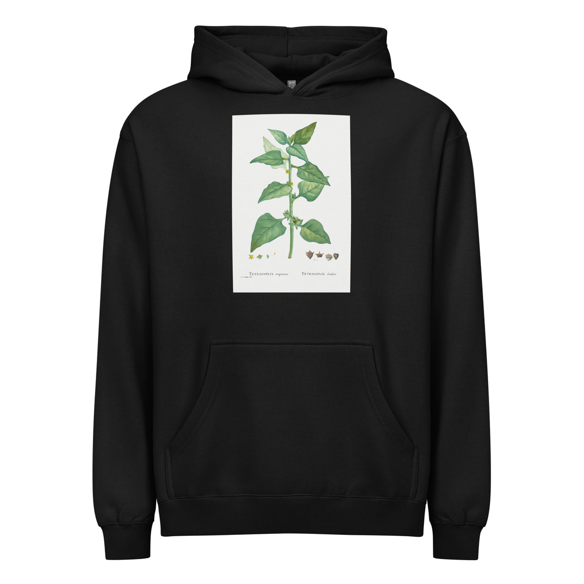 Black Hoodie Tetragonia Expansa New Zealand Spinach Signature