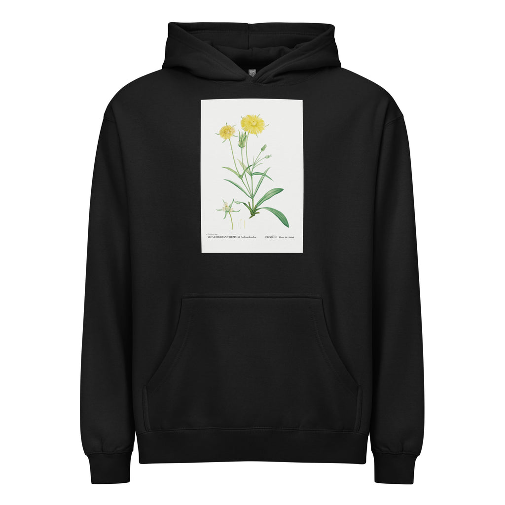 Black Hoodie Mesembryanthemum Helianthoides Spatula Leaved Fig Marigold - Pierre-Joseph 1799 Signature