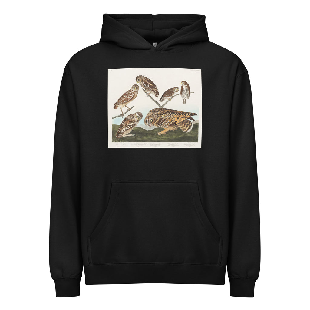 Black Hoodie Burrowing Owl Large-Headed Burrowing Owl Little Night Owl Columbian Owl And Short-Cared Owl - John James Audubon 1827 Signature