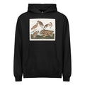 Black Hoodie Burrowing Owl Large-Headed Burrowing Owl Little Night Owl Columbian Owl And Short-Cared Owl - John James Audubon 1827 Signature