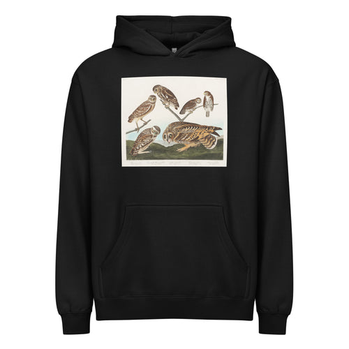 Black Hoodie Burrowing Owl Large-Headed Burrowing Owl Little Night Owl Columbian Owl And Short-Cared Owl - John James Audubon 1827 Signature