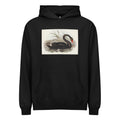 Black Hoodie Black Swan Cygnus Atratus Illustrated - Elizabeth Gould 1804 Signature